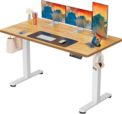 Height Adjustable Electric Standing Desk, 48 X 24 Inches Sit Stand up Desk, Memory Computer Home Office Desk (Black)