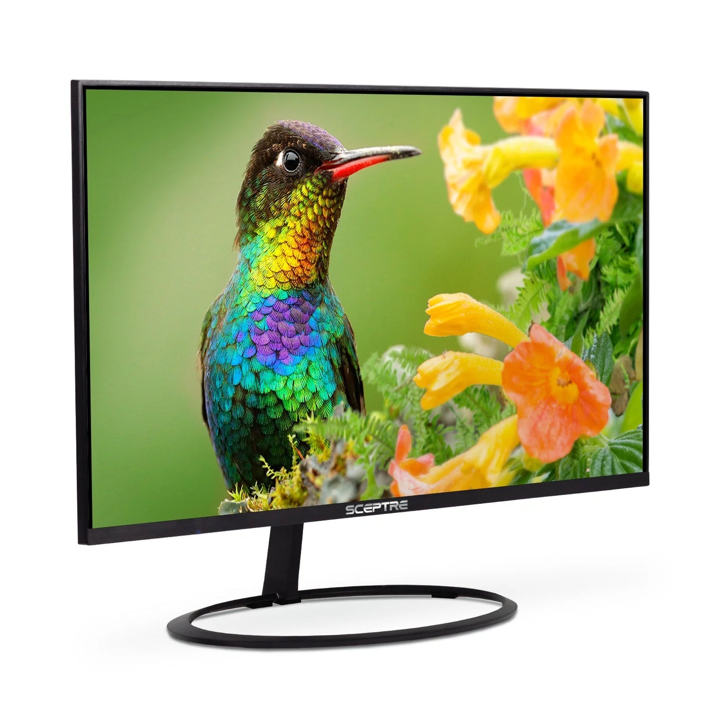 32-Inch IPS QHD Monitor 2560 X 1440 119% Srgb Edge-Less up to 75Hz Displayport HDMI X2, Build-In Speakers Machine Black 2023 (E325W-QPS)