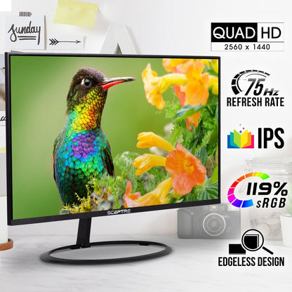 32-Inch IPS QHD Monitor 2560 X 1440 119% Srgb Edge-Less up to 75Hz Displayport HDMI X2, Build-In Speakers Machine Black 2023 (E325W-QPS)